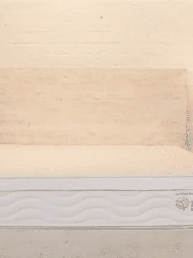 Nest Bedding All Latex Mattress: Better Sleep in 2022?