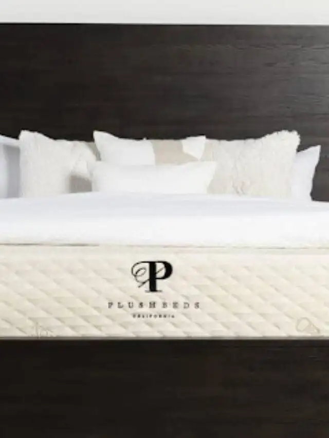 PlushBeds Natural Bliss Mattress