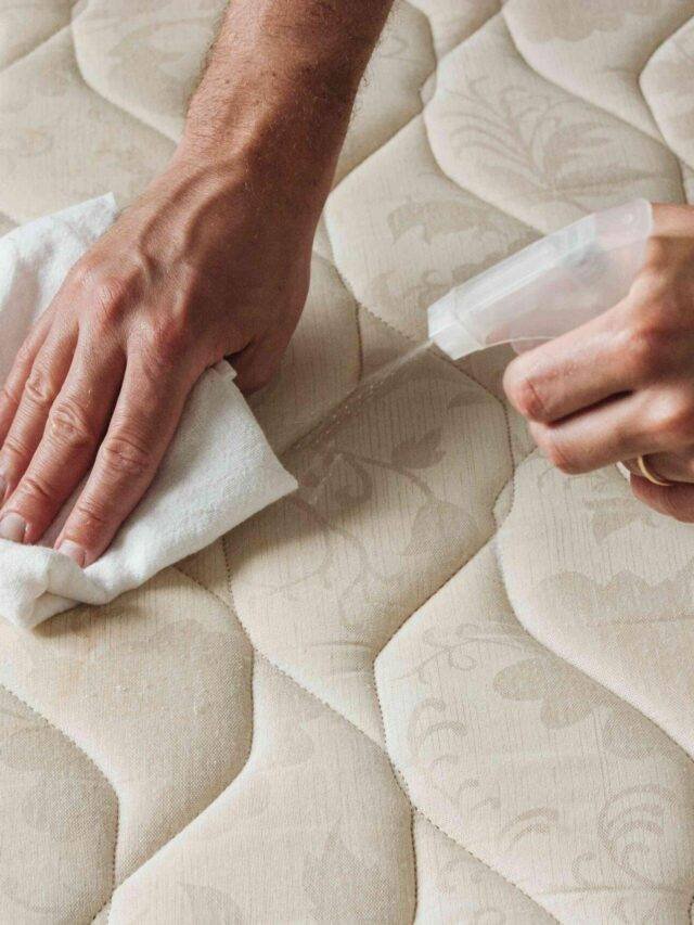 Disinfect And Sanitize A Mattress - WikiRelax